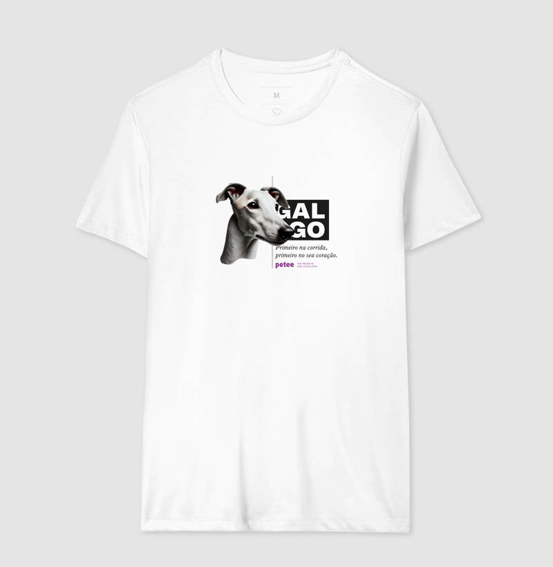 Galgo - Personalidade canina