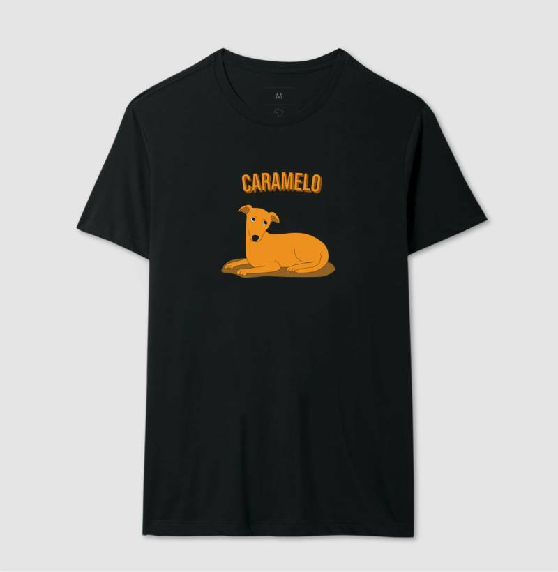 Vira-lata caramelo