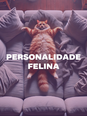 personalidade felina