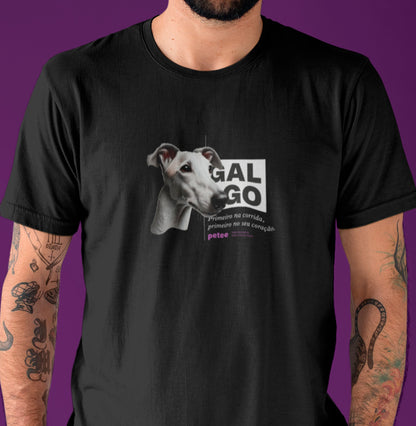 Galgo - Personalidade canina