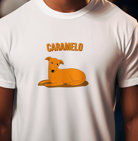 Vira-lata caramelo